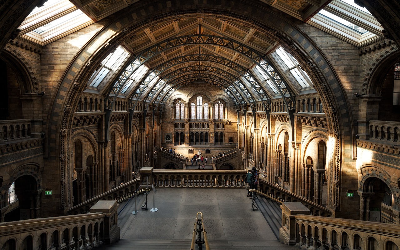 The Untold Natural History Museum London: Behind the Fossils